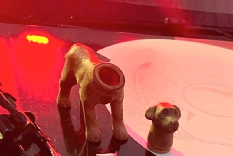 scooby doidao homem e preso com cachorro de brinquedo recheado com pinos de cocaina em bayeux scaled