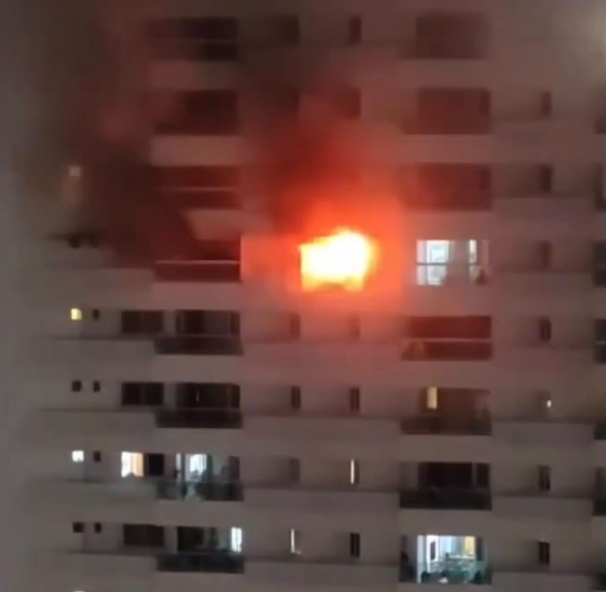 Gato morre em incĂȘndio que destruiu apartamento no bairro Altiplano em JP Gato morre em incĂȘndio que destruiu apartamento no bairro Altiplano em JP